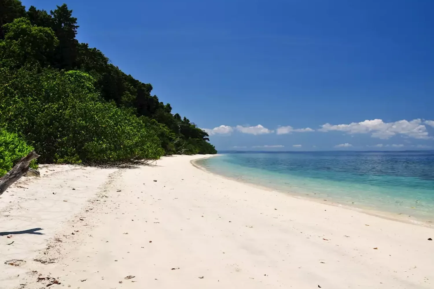 andamanandnicobar