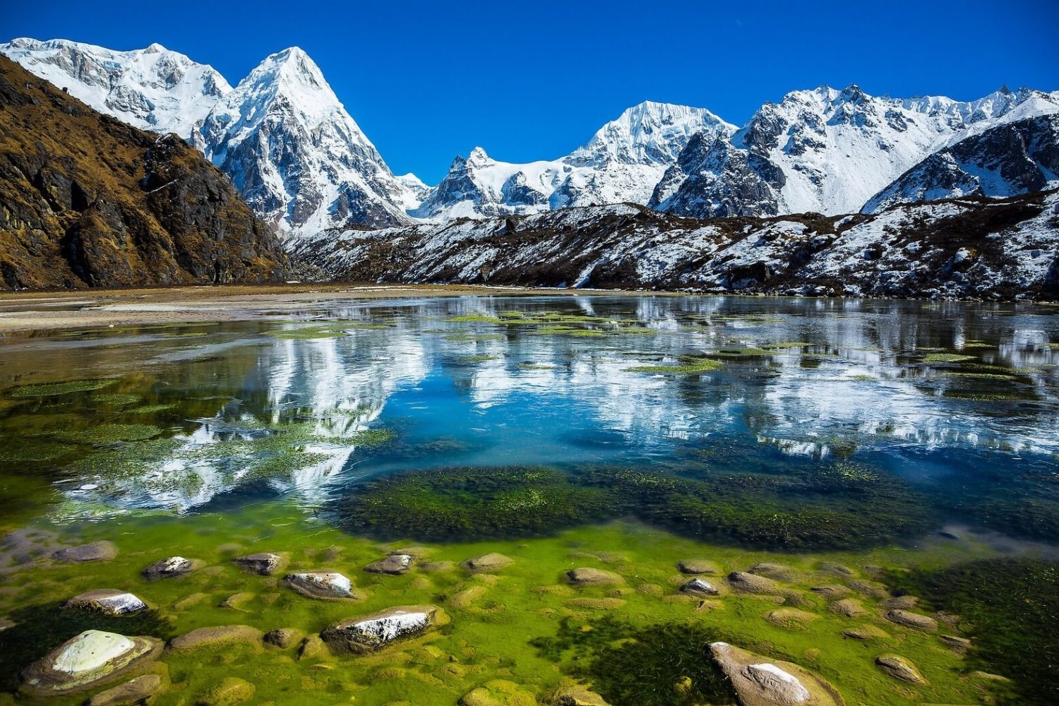 nepal
